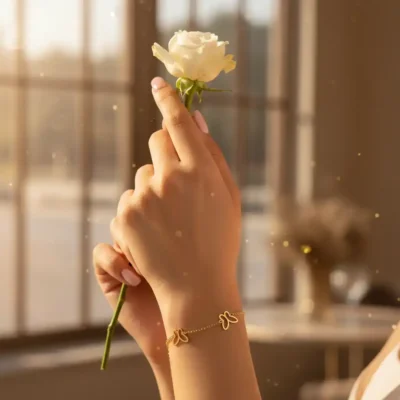 اسورة فراشات استانليس 4